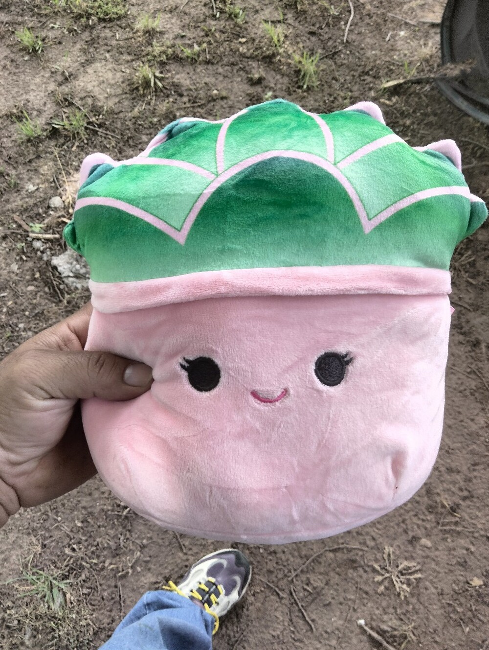 Squishmallows Pink & Green Succulent Plush